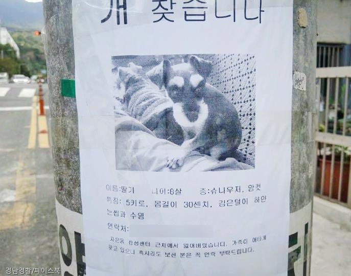 노트펫