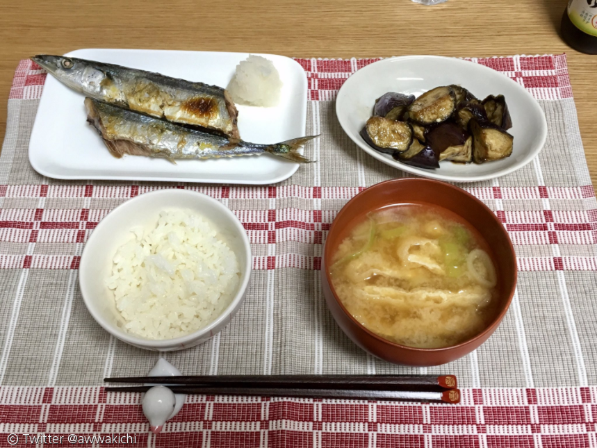 노트펫