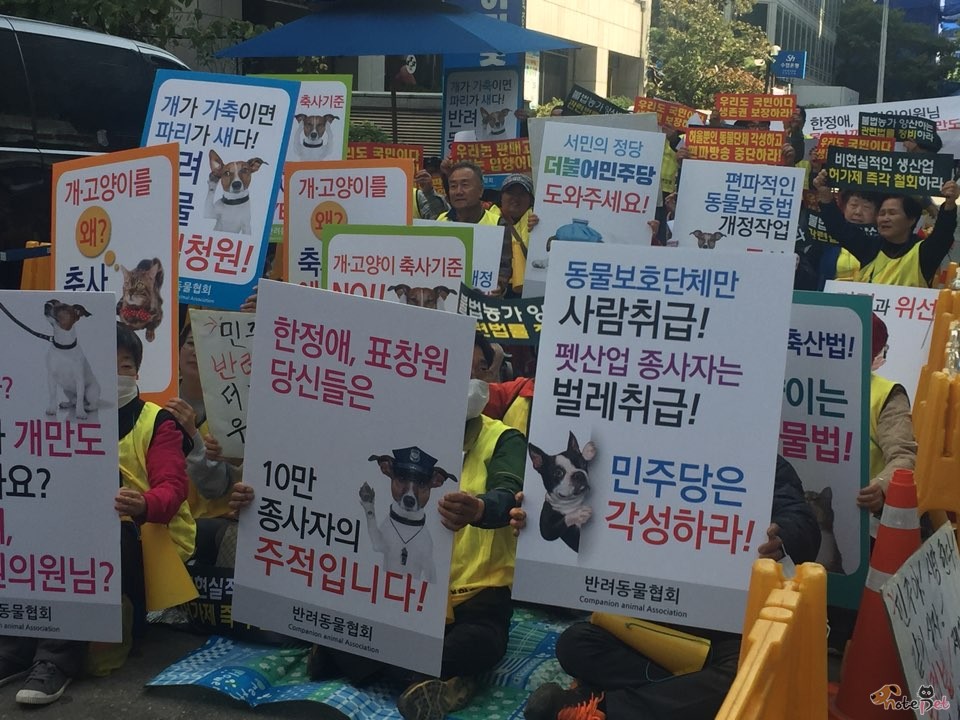 노트펫