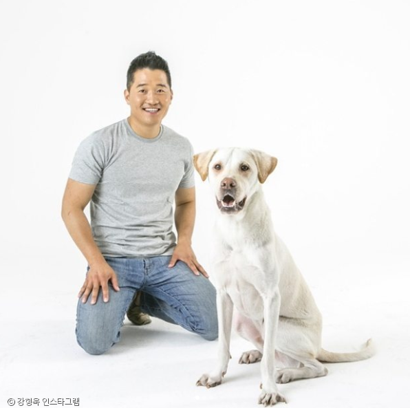 노트펫