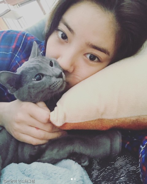 노트펫