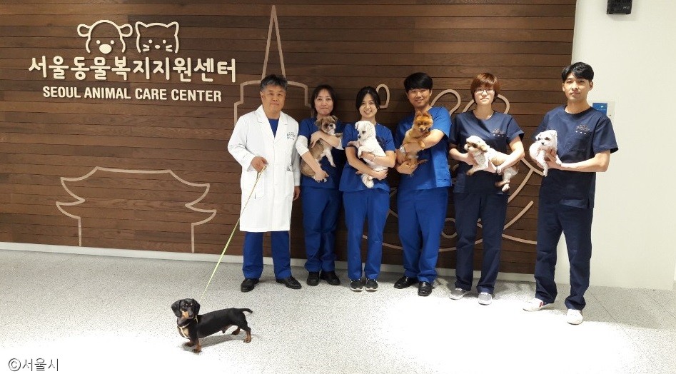 노트펫