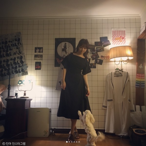 노트펫