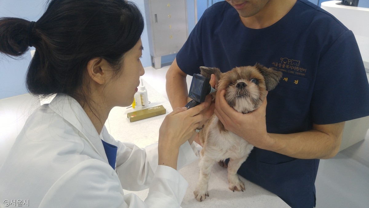 노트펫