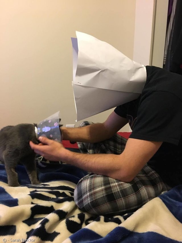 노트펫