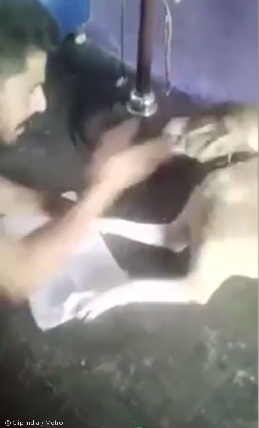 노트펫