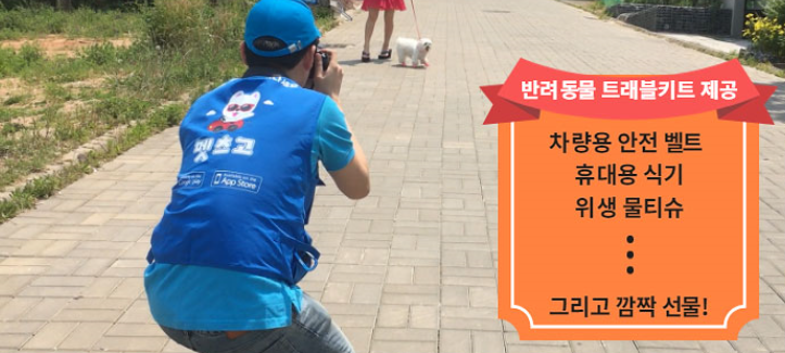 노트펫