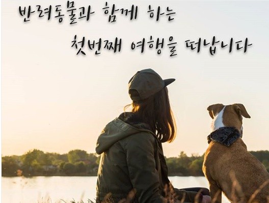 노트펫