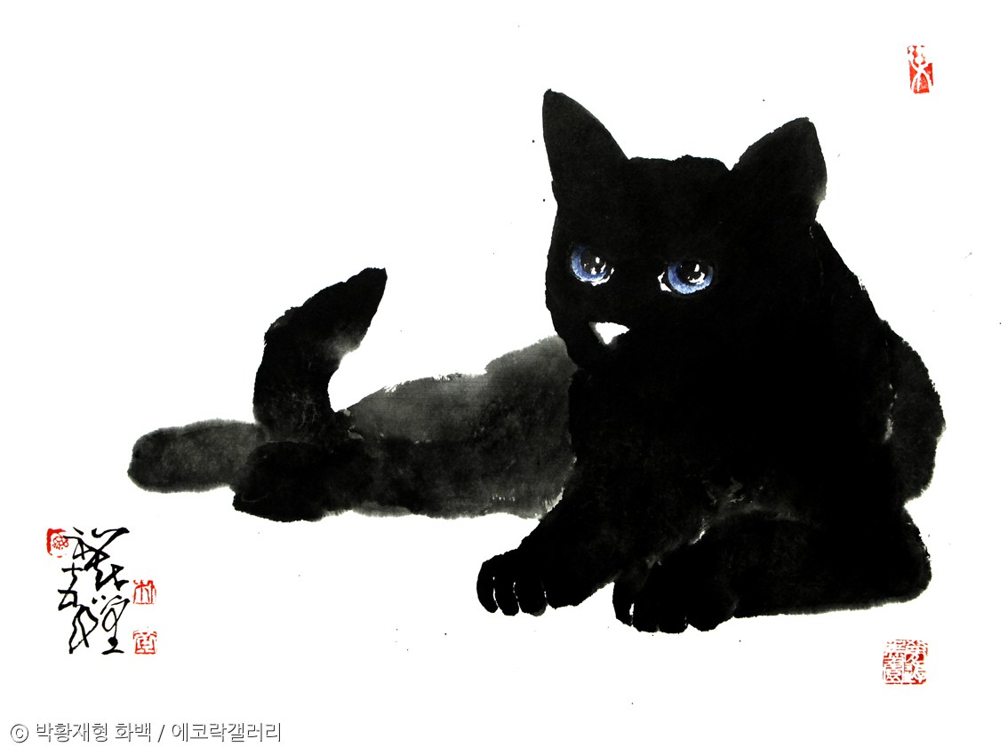 노트펫