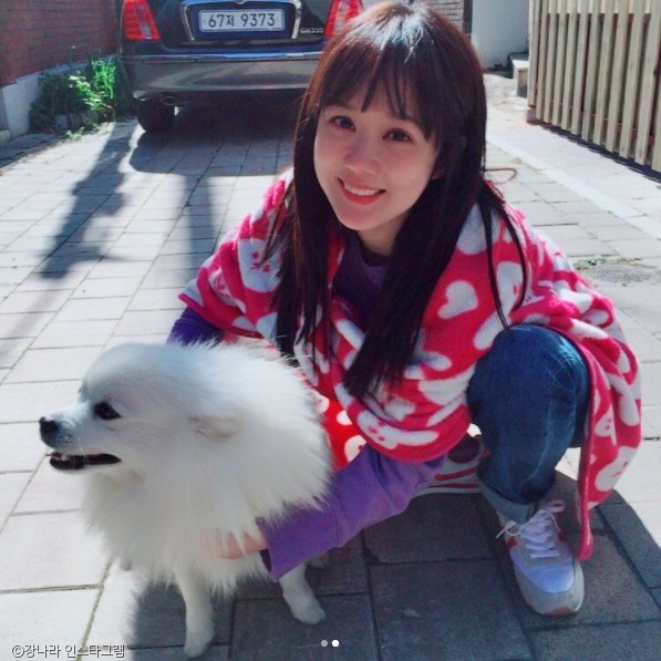 노트펫