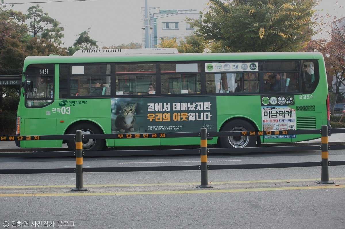 노트펫