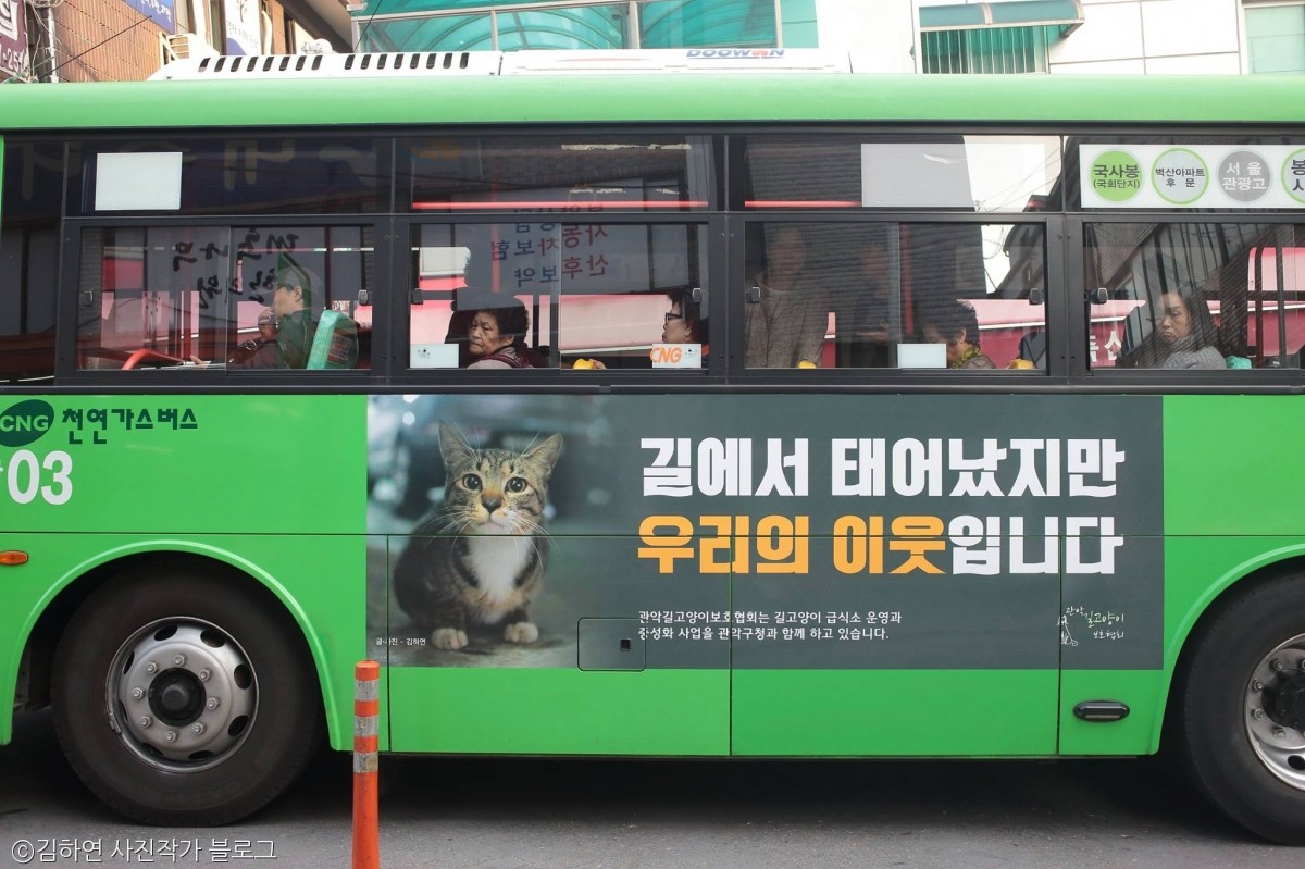 노트펫