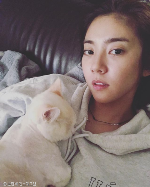 노트펫