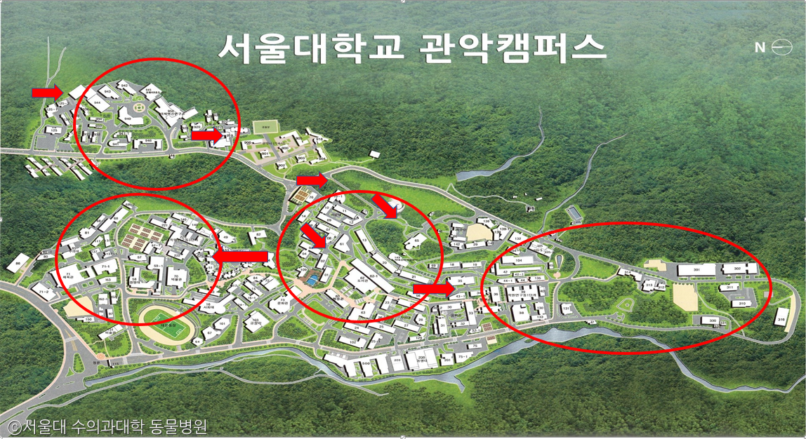 노트펫