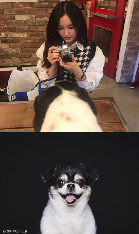 노트펫