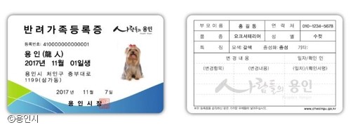 노트펫