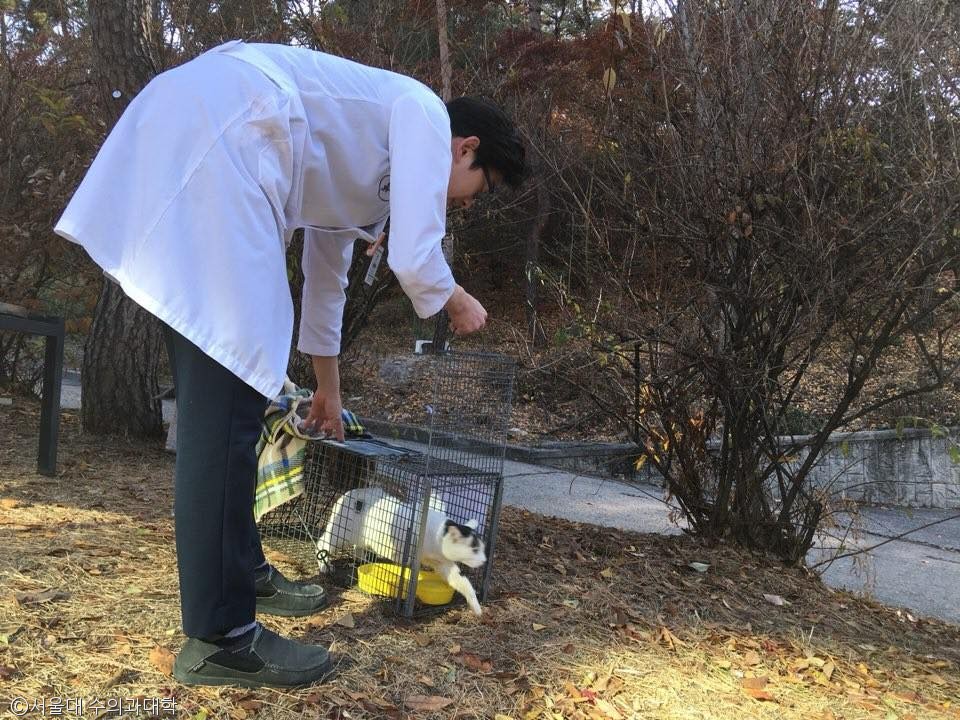 노트펫