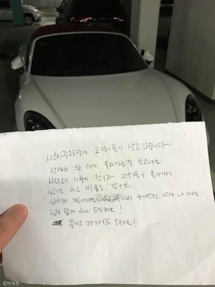 노트펫
