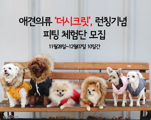 노트펫