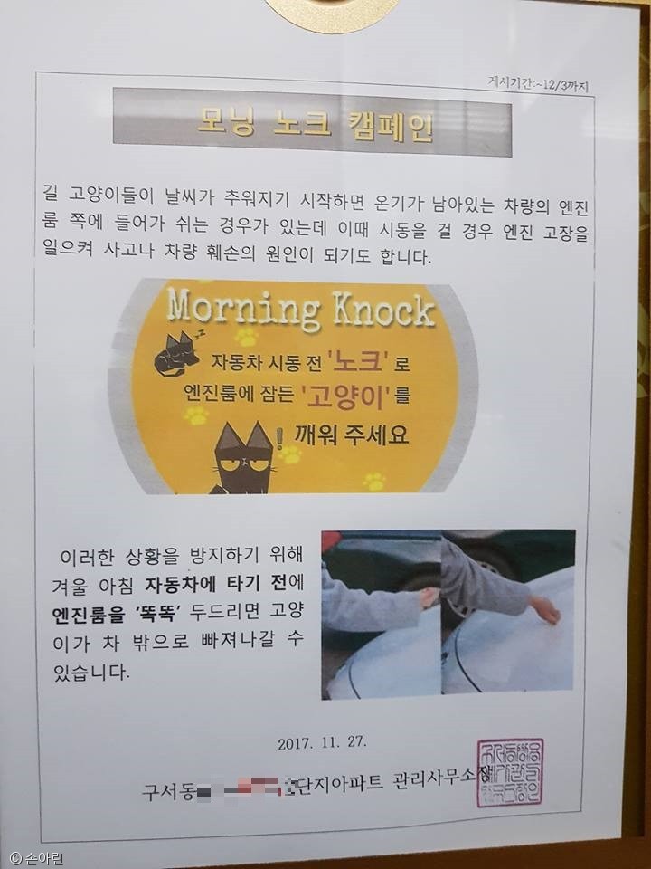 노트펫
