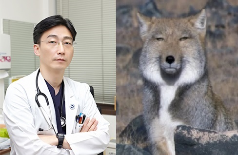 노트펫