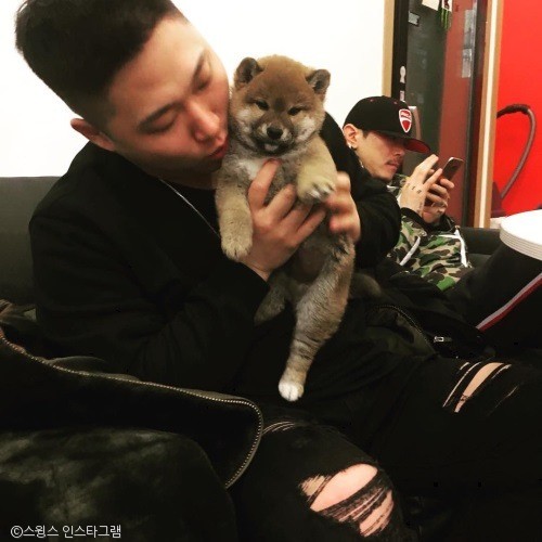 노트펫