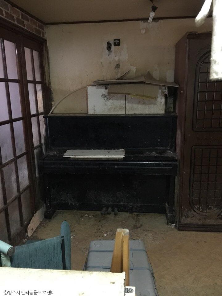 노트펫