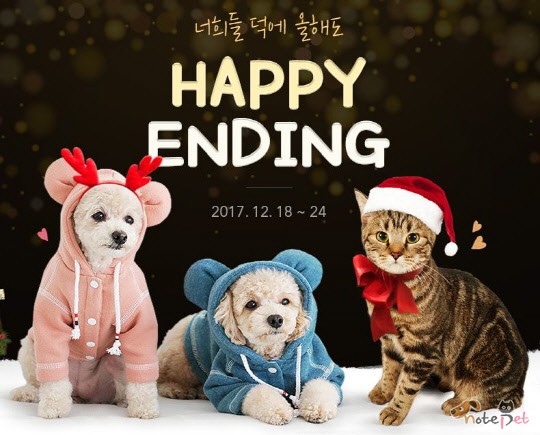 노트펫