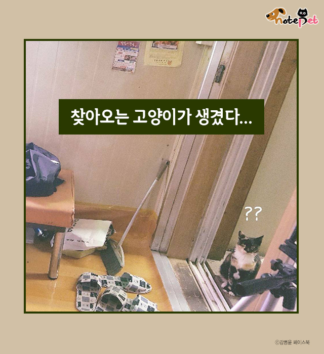 노트펫