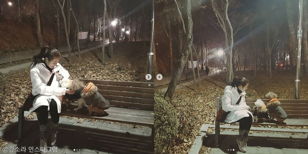 노트펫