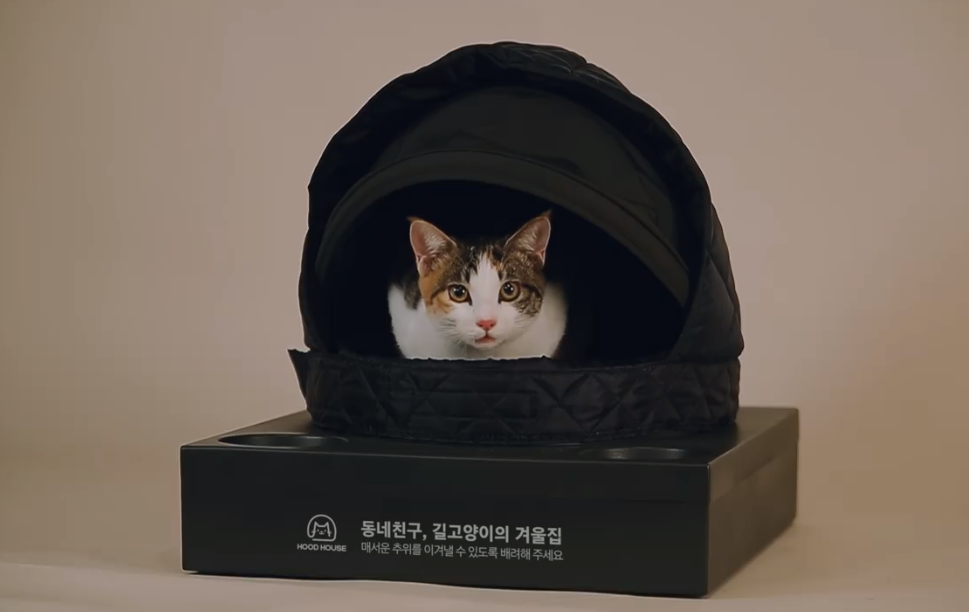 노트펫