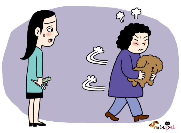 노트펫