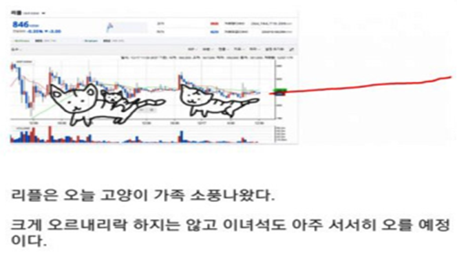 노트펫
