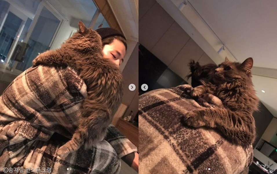 노트펫