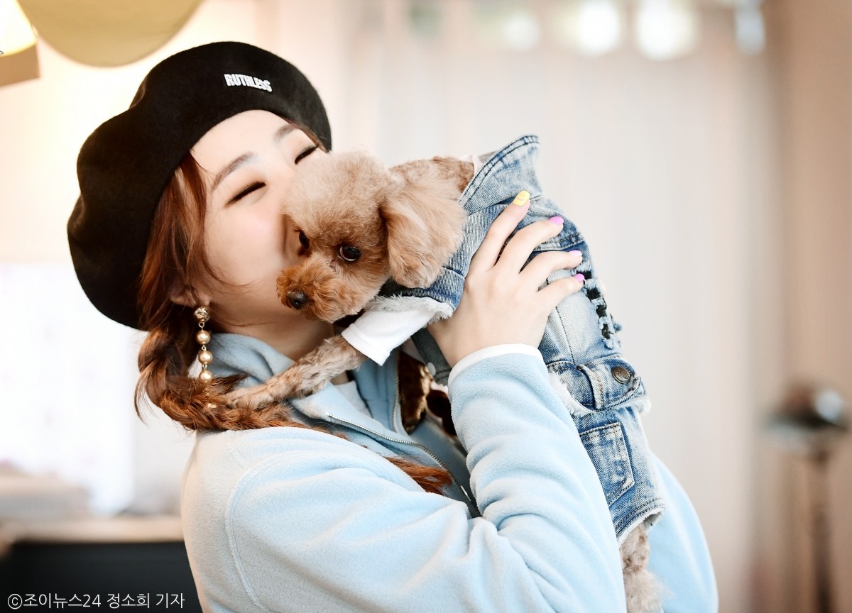 노트펫