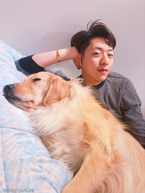 노트펫
