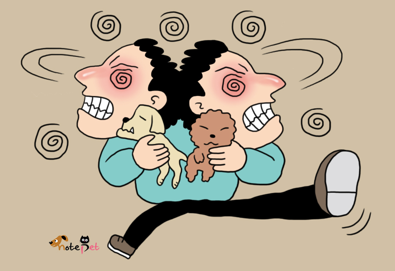노트펫