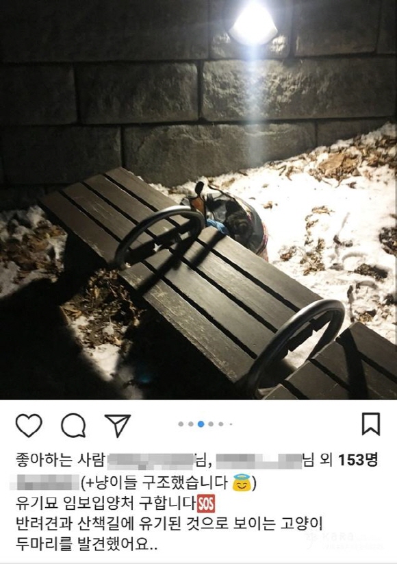 노트펫