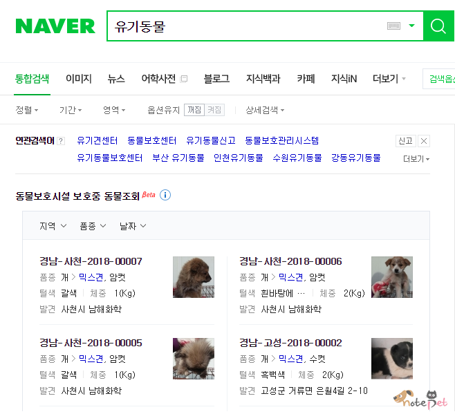노트펫