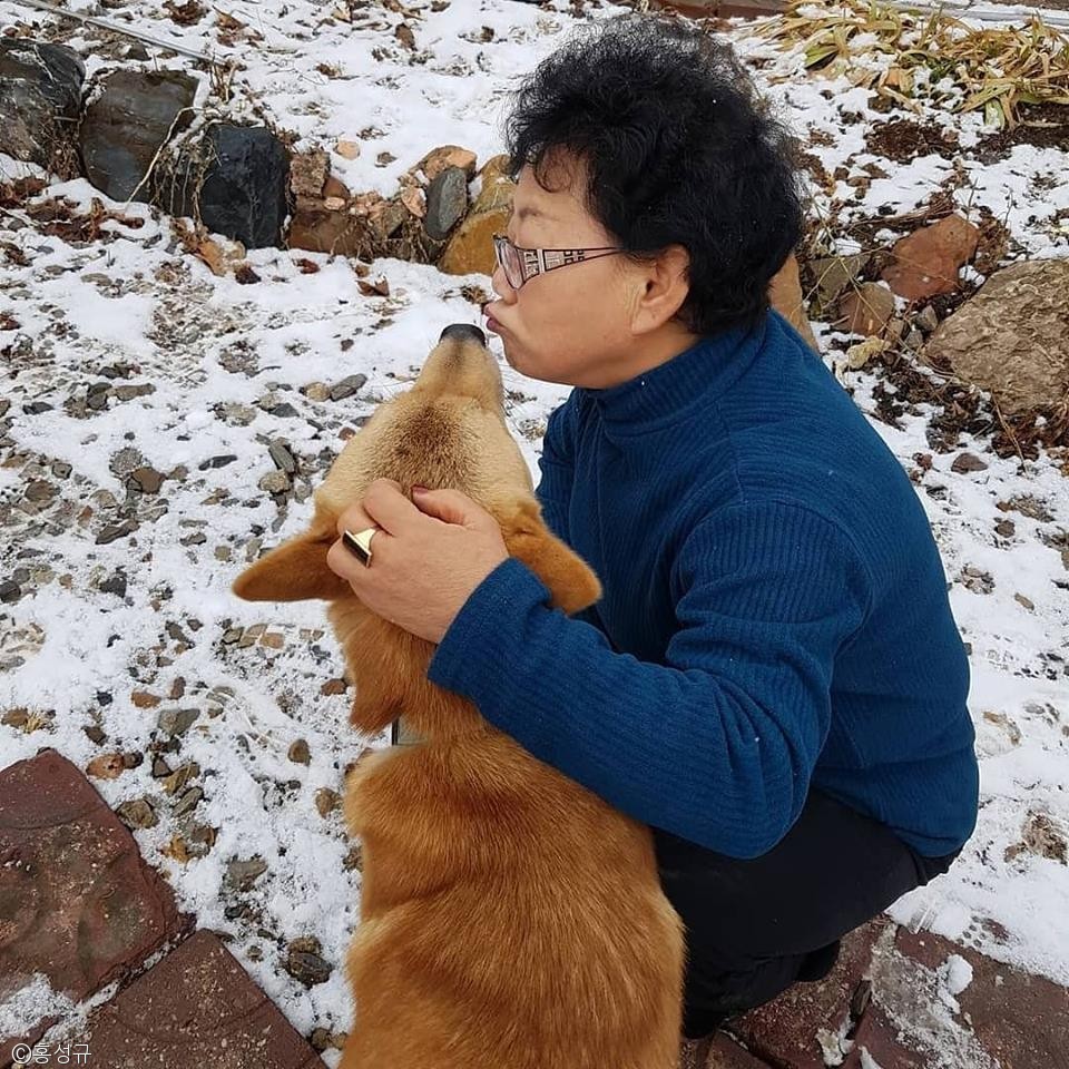 노트펫