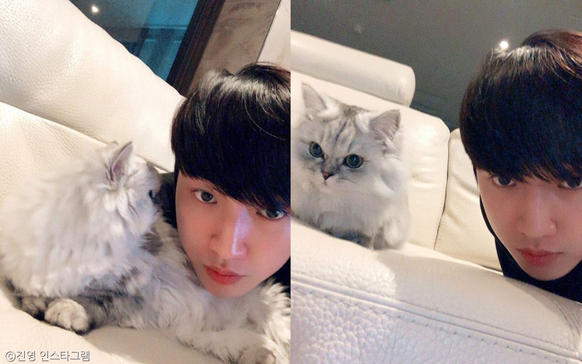 노트펫