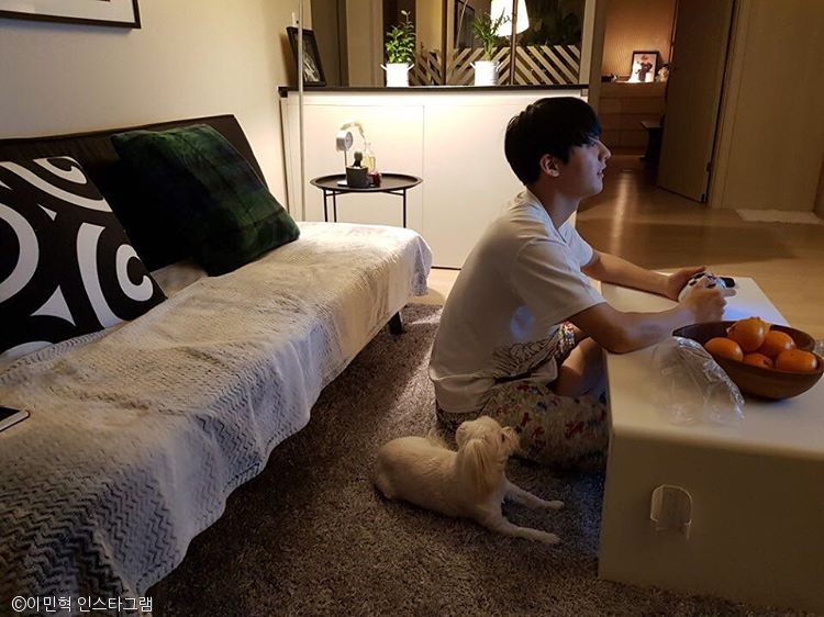 노트펫