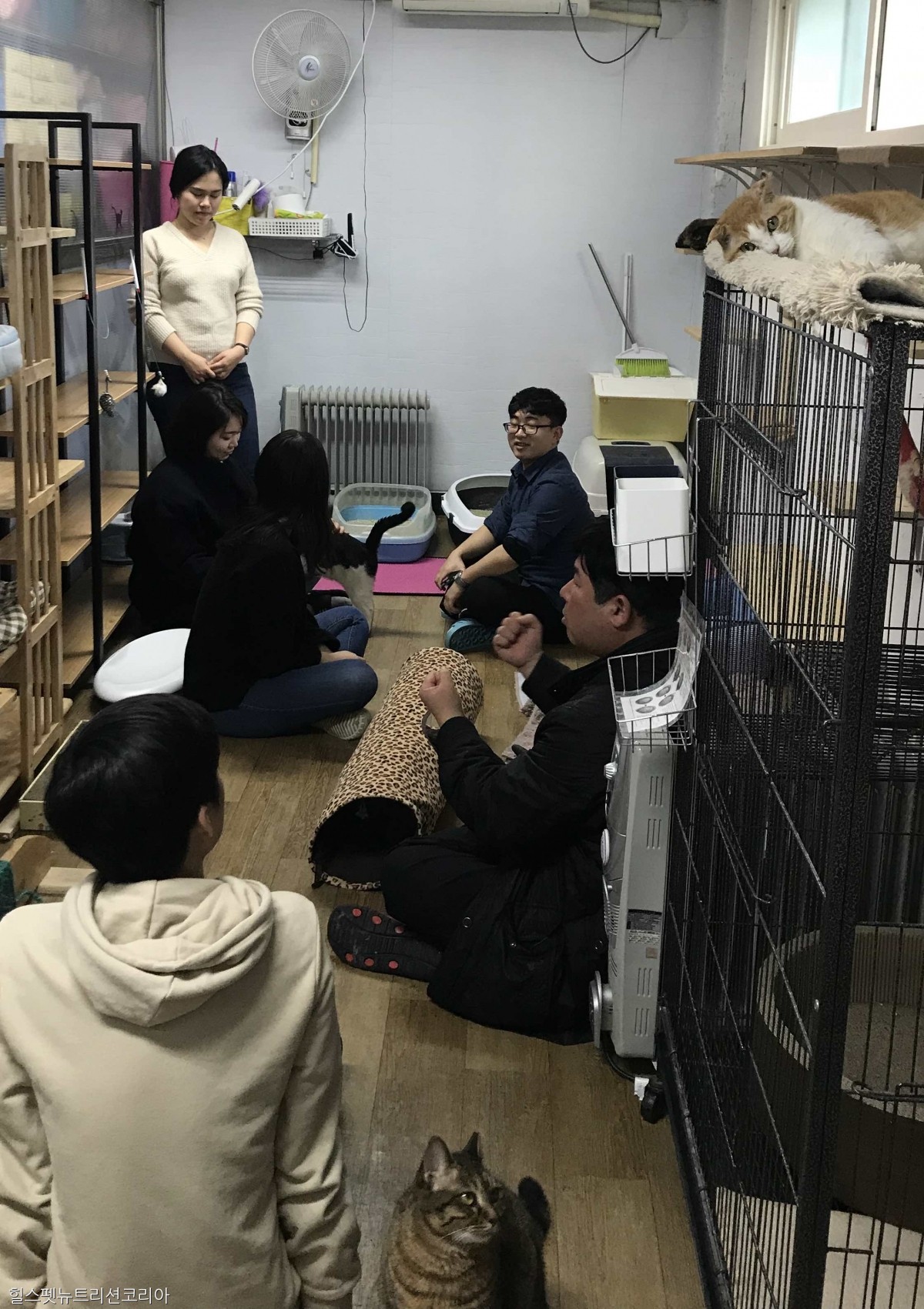 노트펫