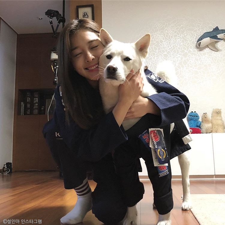 노트펫