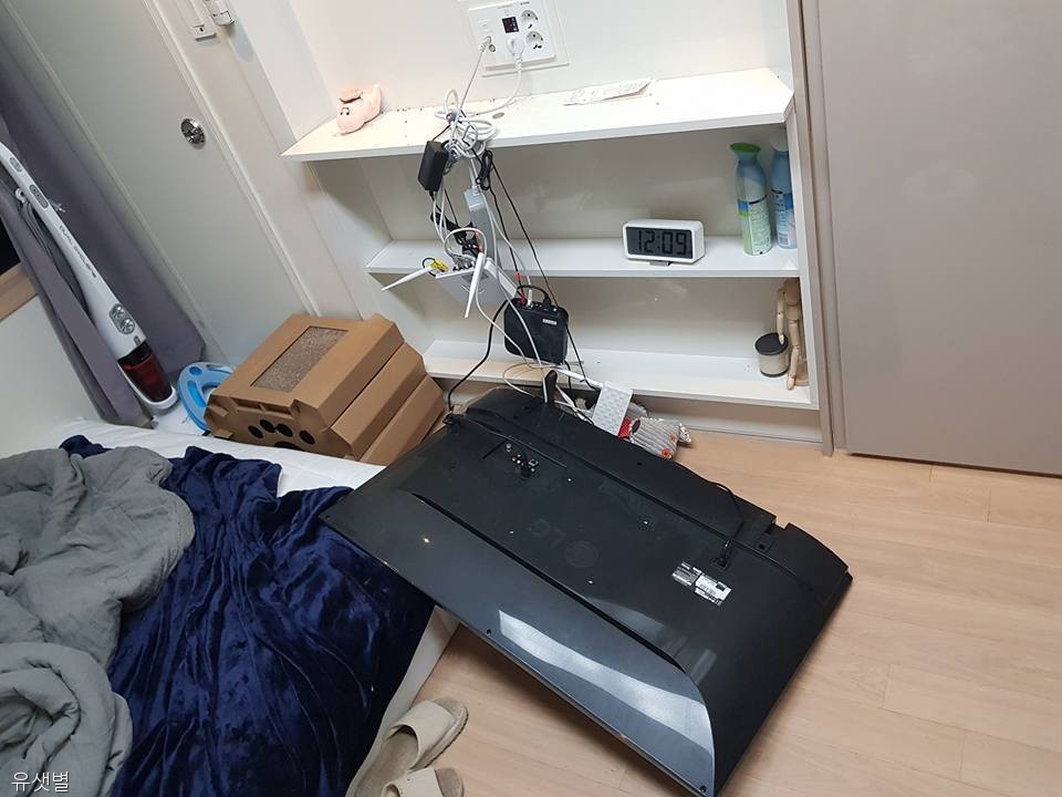 노트펫