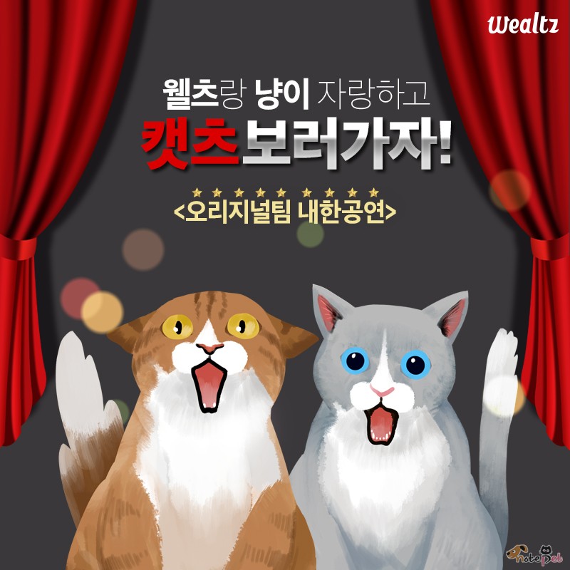 노트펫