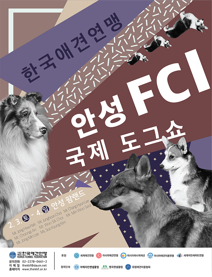 노트펫