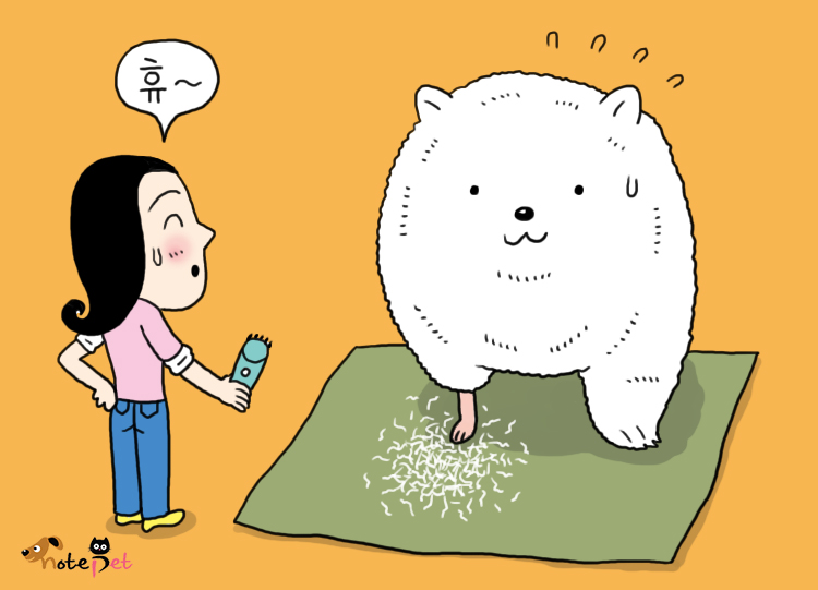 노트펫