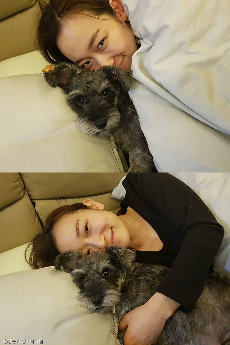노트펫