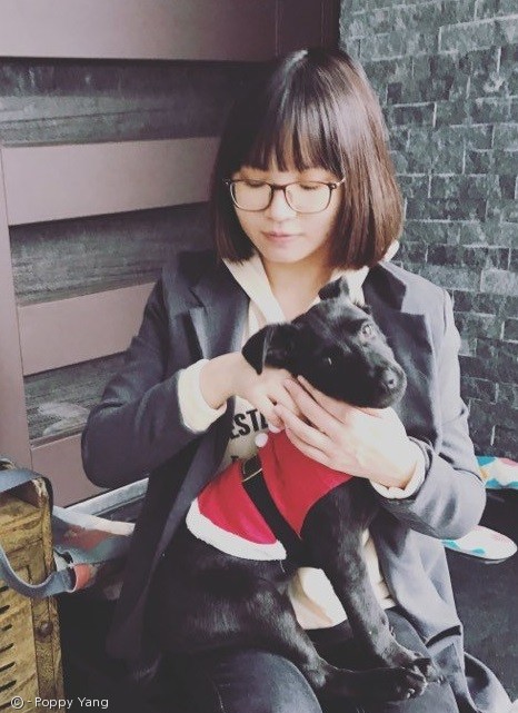 노트펫